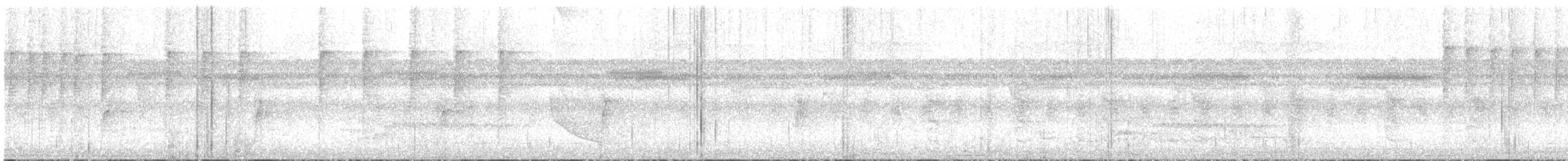 Бронзовохвостый колибри - ML340526041