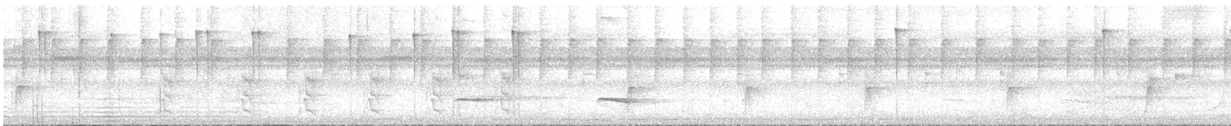 エメラルドハチドリ - ML340526401