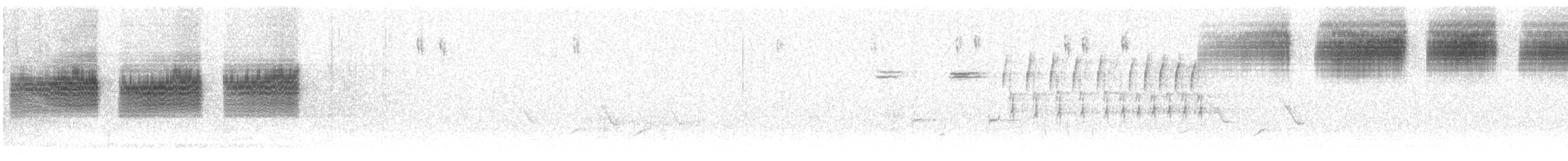 Карнатка бліда - ML340534421