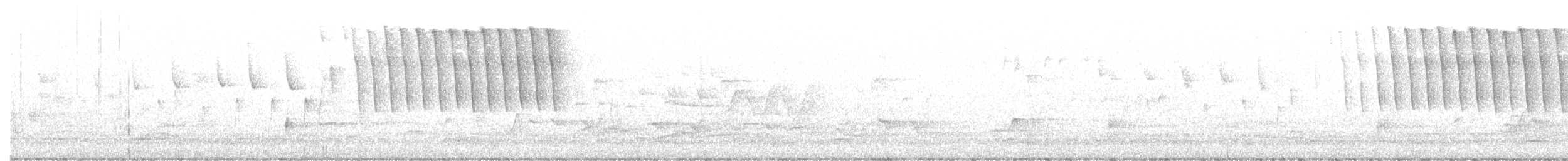 Tennessee Warbler - ML340537781