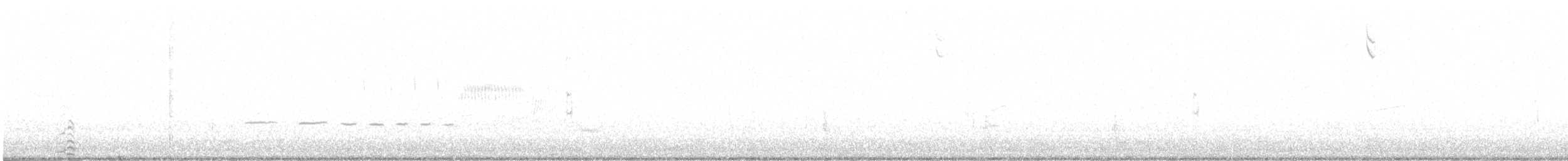 hvithalesvømmesnipe - ML340551671