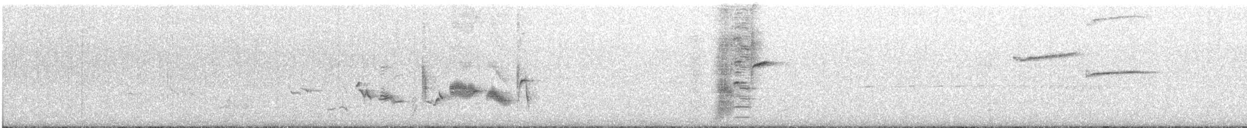 Oriole des vergers - ML340563691