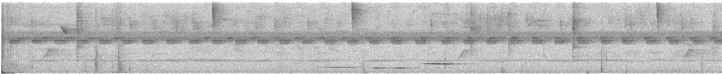Troglodyte de Niceforo - ML340601021