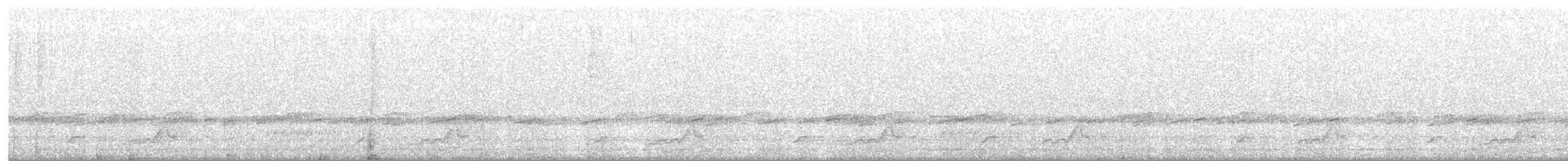 Schwarzkehl-Nachtschwalbe - ML340610831