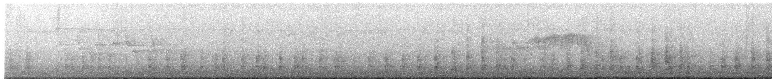 Great Blue Heron (Great Blue) - ML340614631