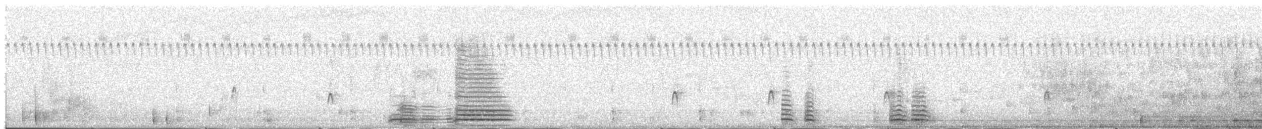 Cisne Trompetero - ML34062991