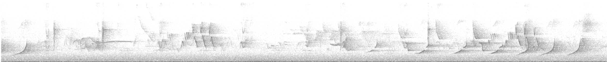 Черногорлая хвойница - ML340632371