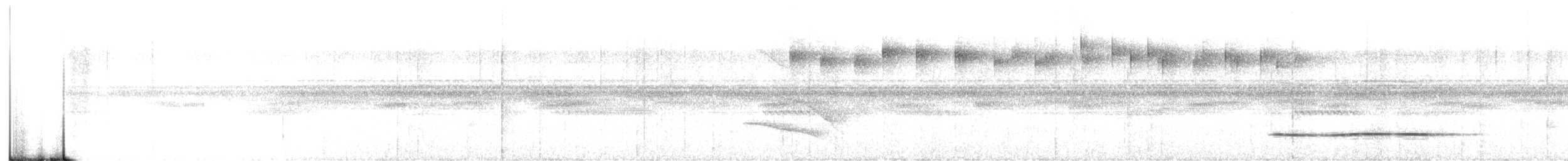 Little Tinamou - ML340676081