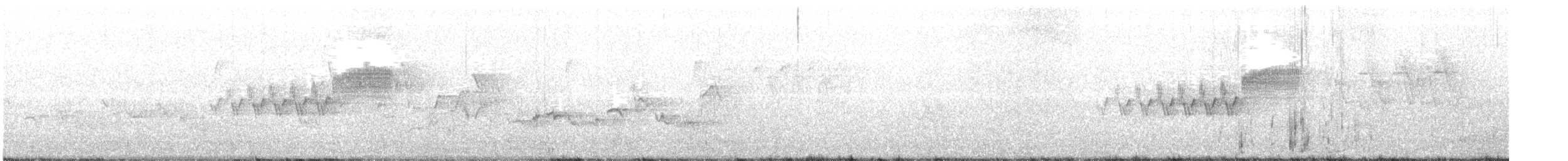 Cerulean Warbler - ML340678131