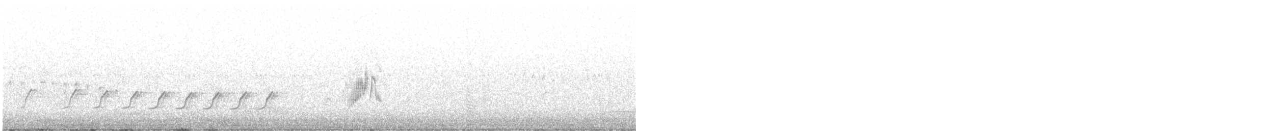 tyranovec vrbový - ML340683611