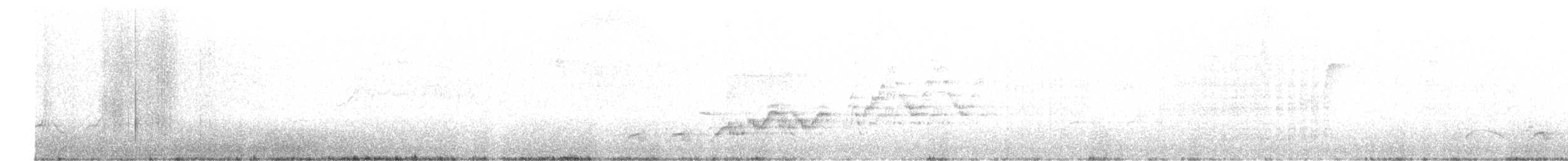 Дрізд-короткодзьоб Cвенсона - ML340741121