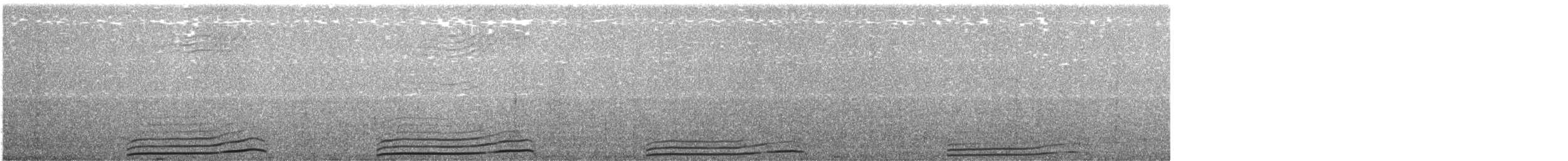 Южный ныряющий буревестник - ML340753031