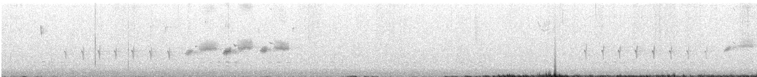 Шишкар ялиновий - ML340784701