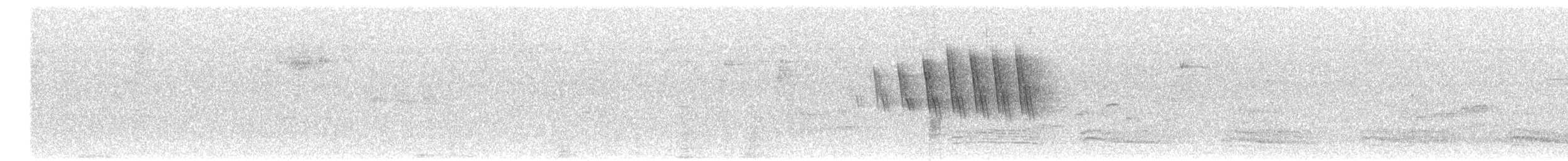 Paruline à calotte noire (chryseola) - ML340788331