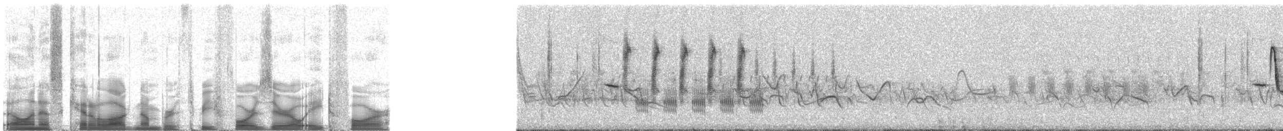 Травяной крапивник (platensis/polyglottus) - ML34084