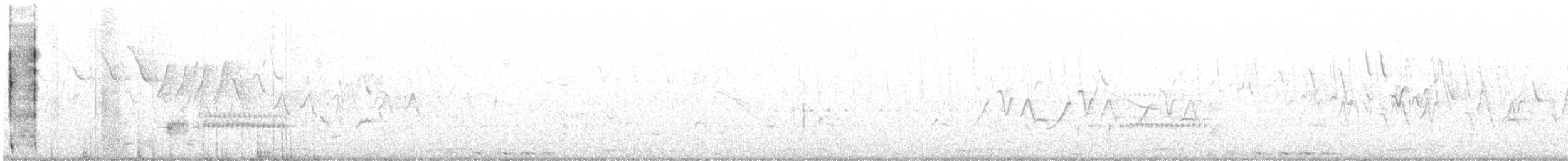 pygmérørdrum - ML340851311