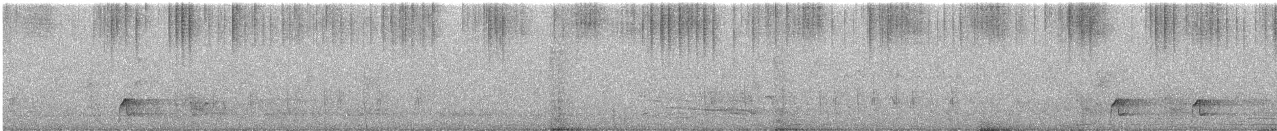 Белокрылый гонолек - ML340913661