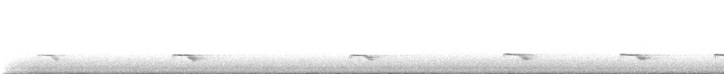 Атакамский козодой - ML340917111
