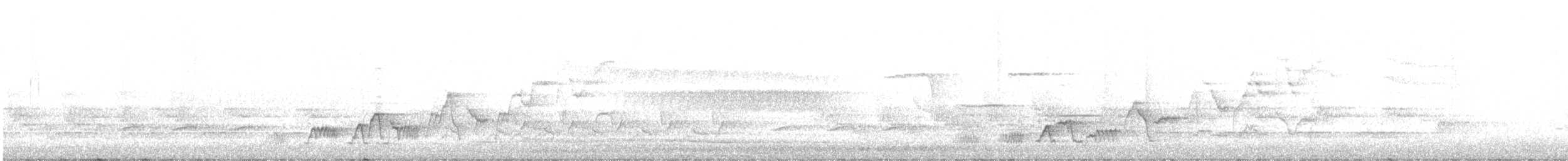 Дрізд-короткодзьоб Cвенсона - ML340918711