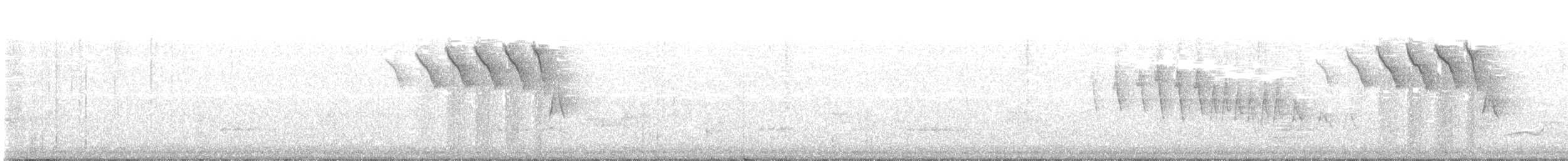 Paruline à calotte noire - ML340986241