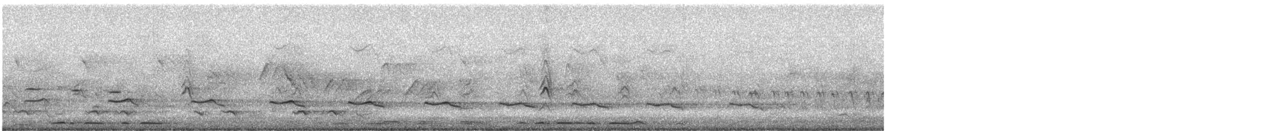 Кустарниковая кукушка [группа variolosus] - ML340998501
