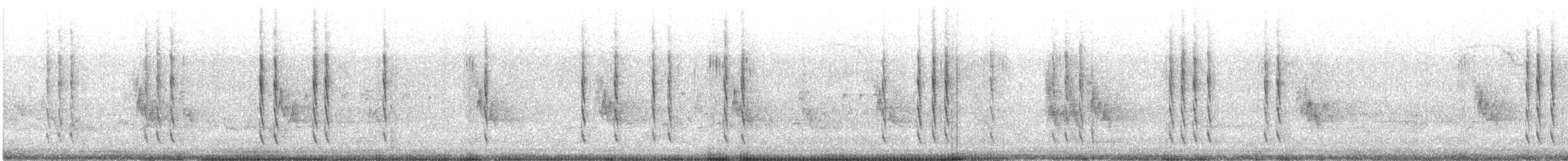 kalypta rubínohrdlá - ML341097091