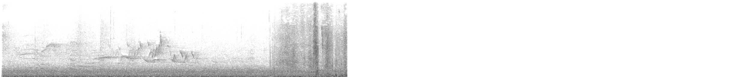 Черногорлая хвойница - ML341115611