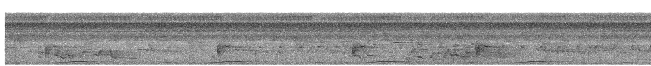 Суматранская кукушковая горлица - ML341120571