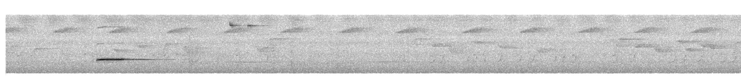 Sumatran Wren-Babbler - ML341125521