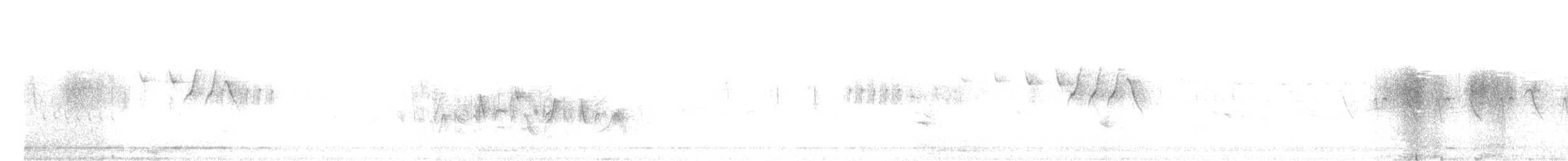 Bell's Vireo - ML341178541