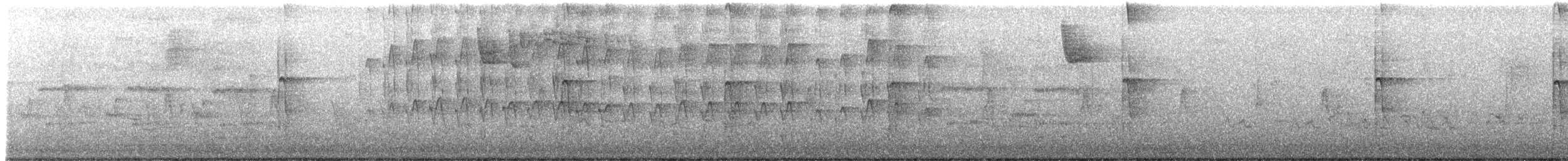 Hairy Woodpecker - ML341208441