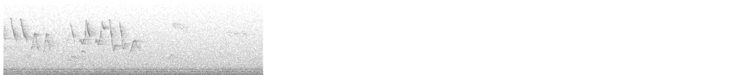 gulparula - ML341240231