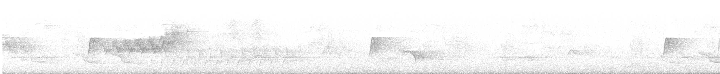 Cerulean Warbler - ML341262711