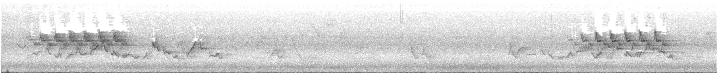 Yellow-rumped Warbler - ML341312471