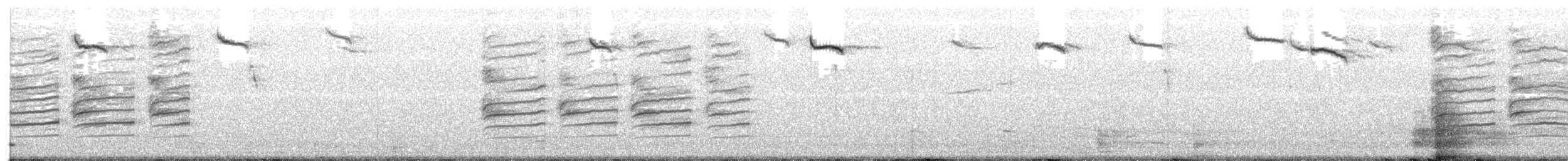 Loggerhead Shrike - ML341334301