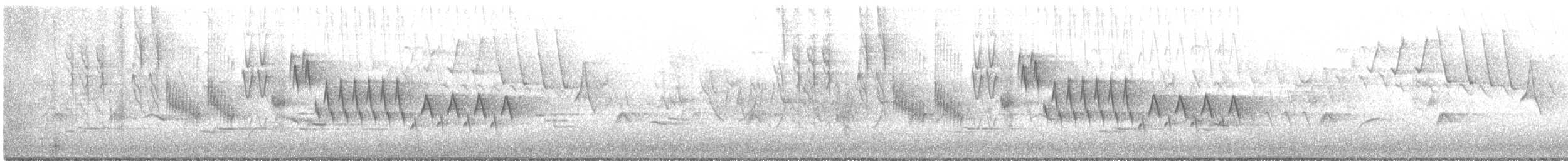 Northern House Wren - ML341342581