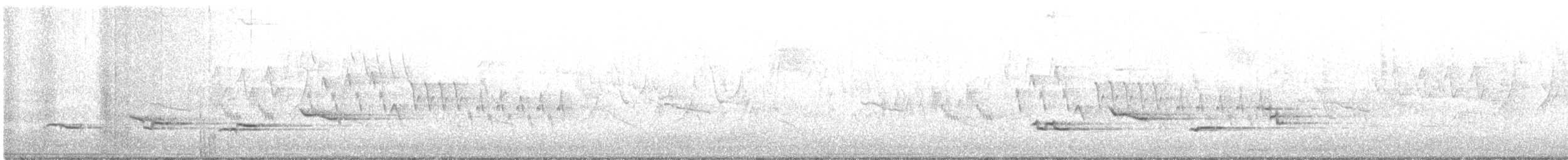 Merle d'Amérique - ML341342611