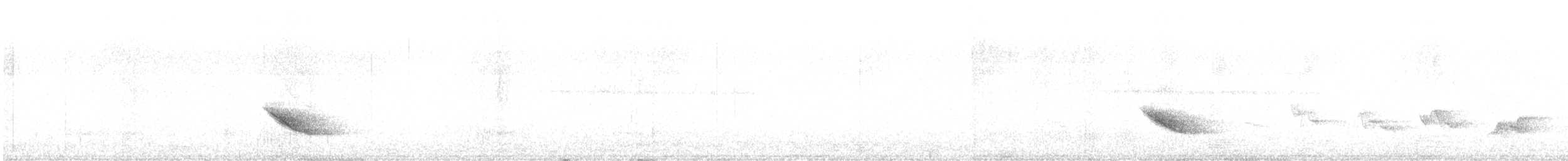 Дрізд-короткодзьоб бурий - ML341373131