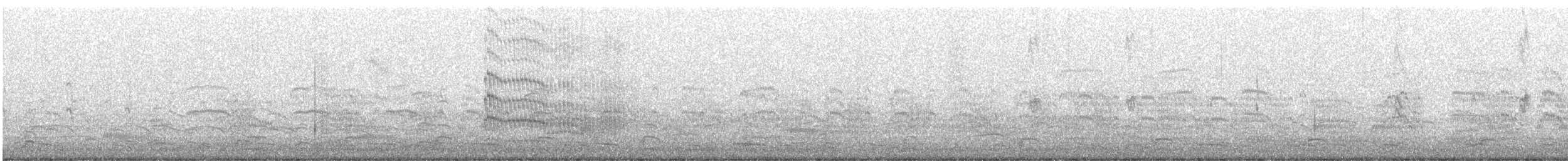 Common Tern - ML341384971