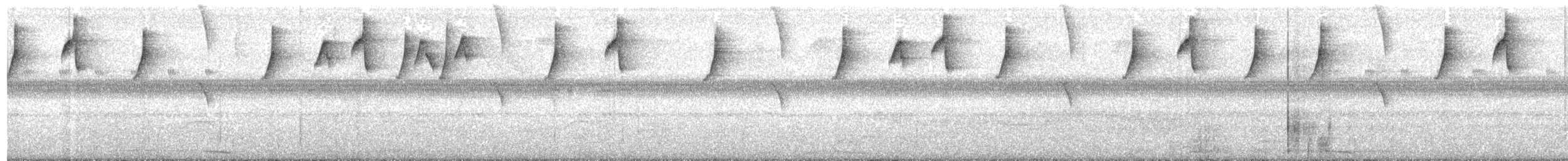 Серогорлый колибри-отшельник - ML341391071