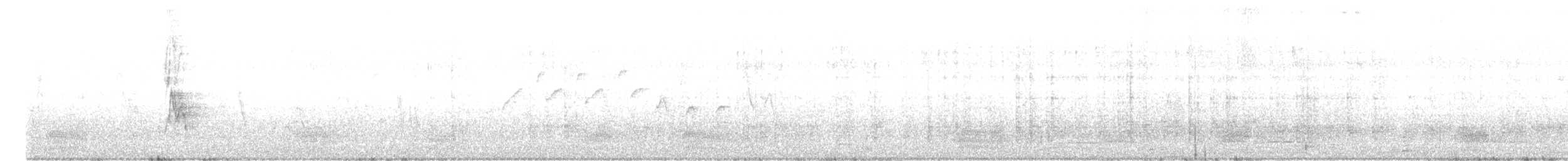 halsbåndfrankolin - ML341436111