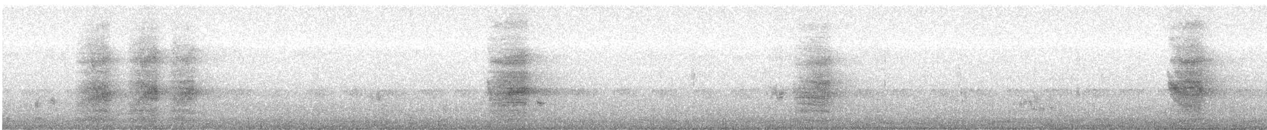 白斑紫嘯鶇 - ML341437871