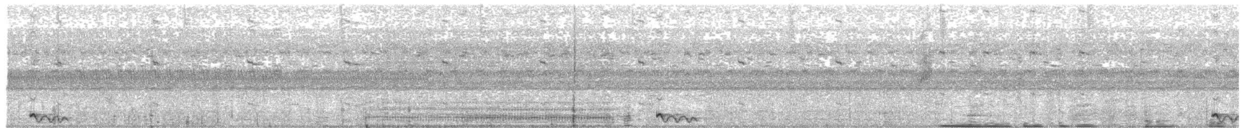 Jerdon's Nightjar - ML341456391