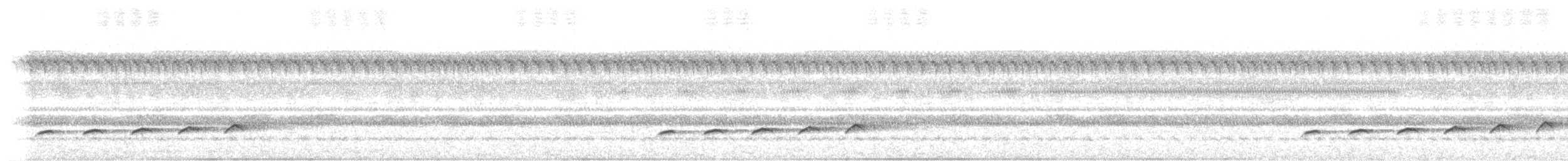 Вилохвостая дронговая кукушка - ML341497021