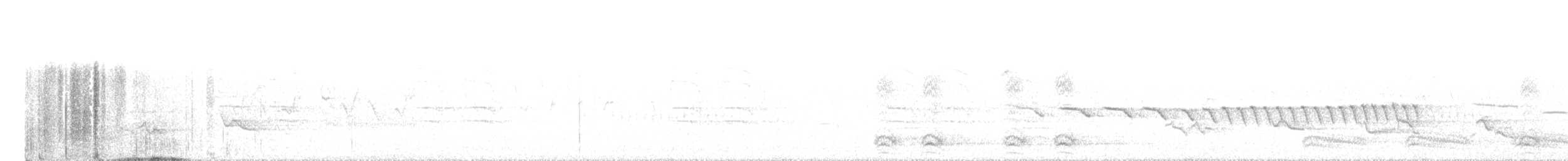 Карнатка польова - ML341505401