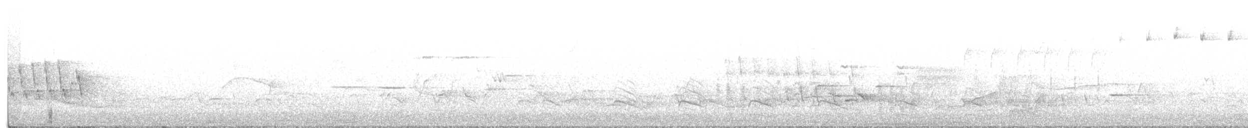 lesňáček černohlavý - ML341506241