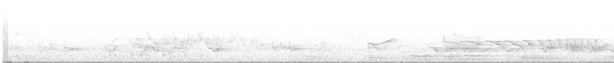 Yellow-billed Cuckoo - ML341509101