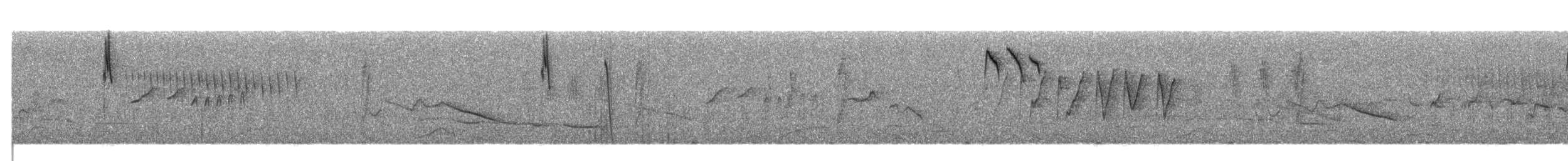 Orite de Blyth (sharpei) - ML341514711