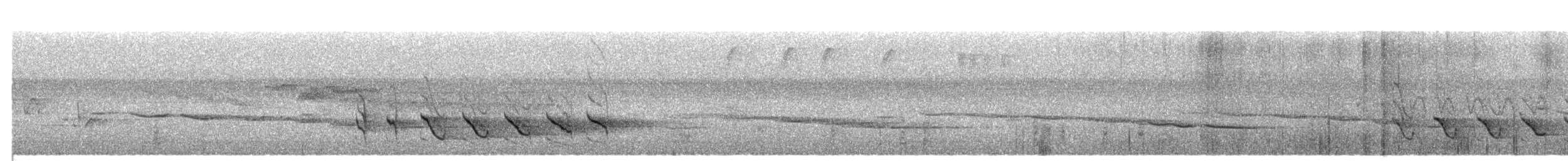 Paradoxornis fléché - ML341517931