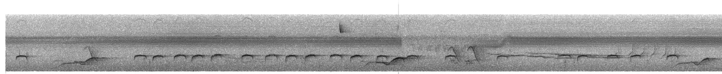 White-browed Nuthatch - ML341518401